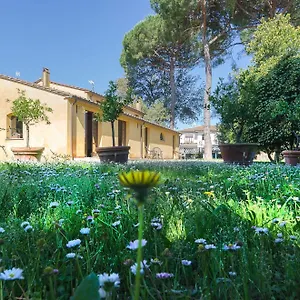 Bed & Breakfast Pisa Holidays